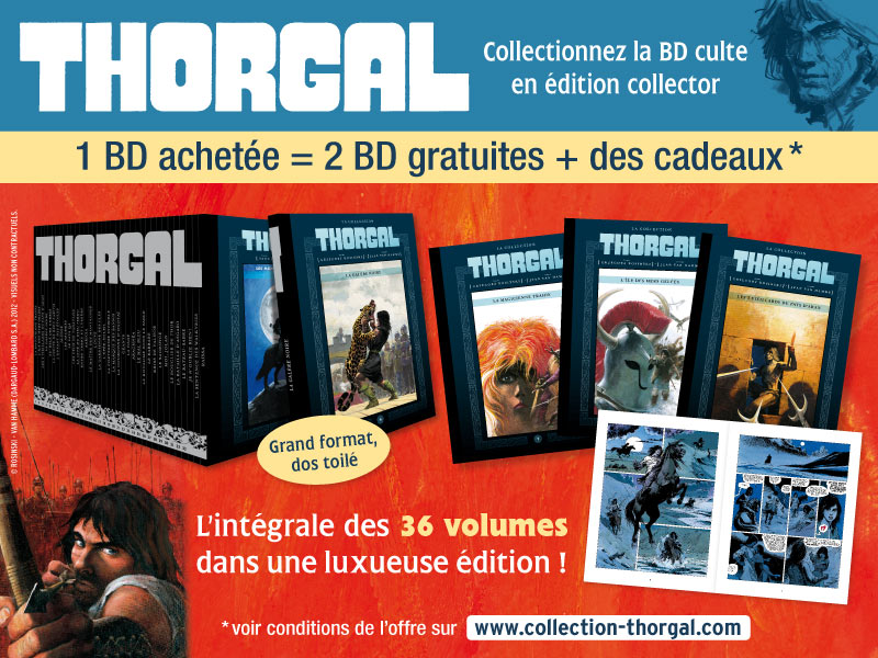 interstitielThorgal800X600.jpg