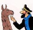 Avatar de l’utilisateur