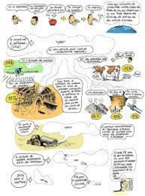 Le Monde sans fin, miracle énergétique et dérive climatique: Blain  Christophe, Jancovici Jean-Marc, Blain Christophe: 9782205088168:  : Books