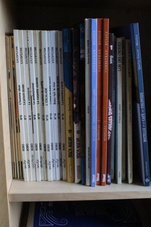 IMG_9946.JPG (259.77 Kio) Vu 111 fois IMG_9946.JPG