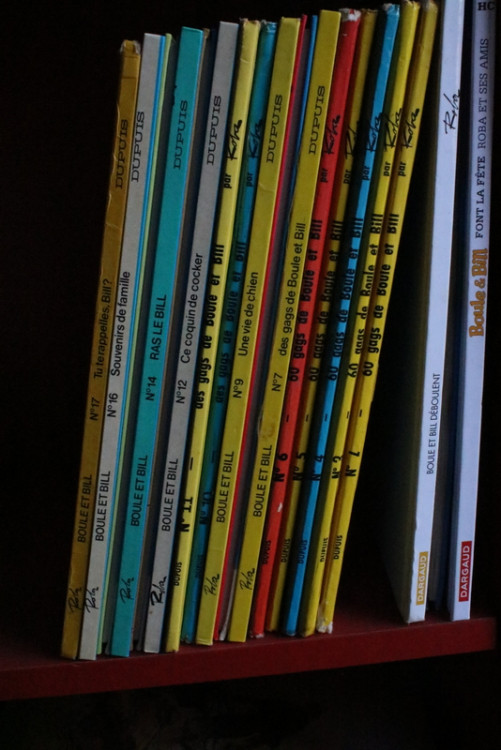 IMG_9954.JPG (265.46 Kio) Vu 117 fois IMG_9954.JPG