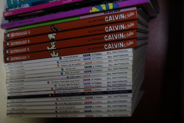 IMG_0082.JPG (253.29 Kio) Vu 106 fois IMG_0082.JPG