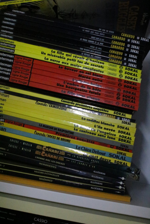 IMG_0085.JPG (301.9 Kio) Vu 89 fois IMG_0085.JPG