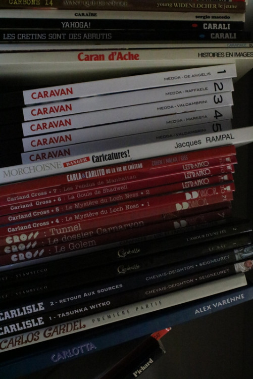 IMG_0092.JPG (247.78 Kio) Vu 84 fois IMG_0092.JPG