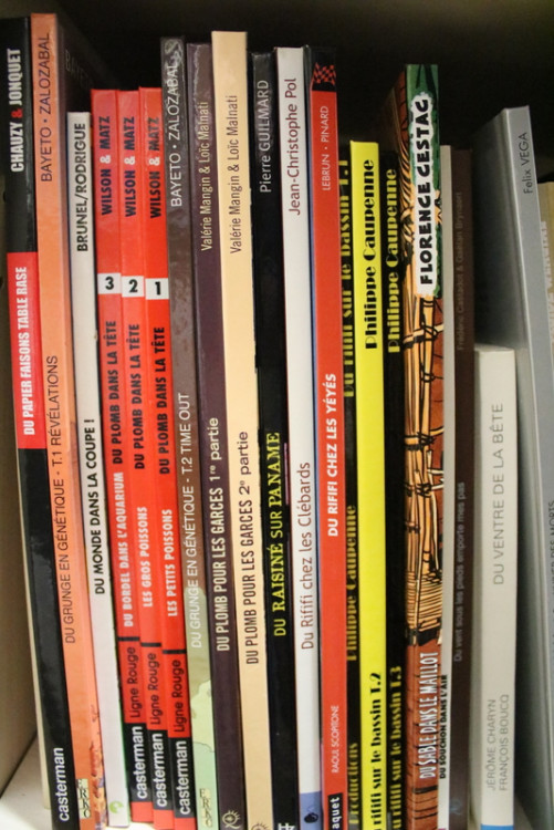 IMG_0447.JPG (337.48 Kio) Vu 91 fois IMG_0447.JPG