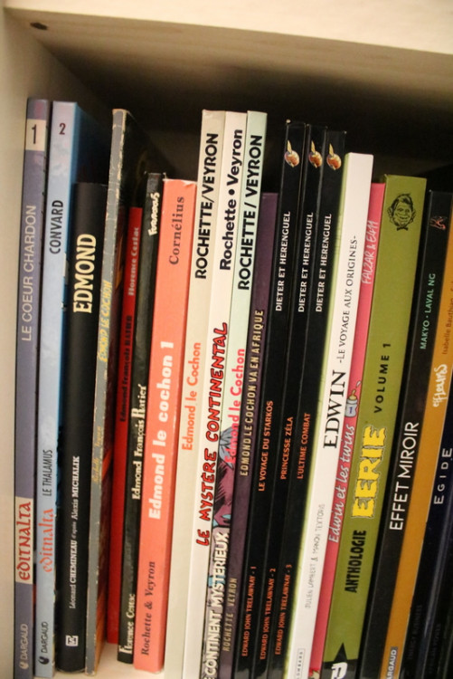 IMG_0460.JPG (310.88 Kio) Vu 102 fois IMG_0460.JPG