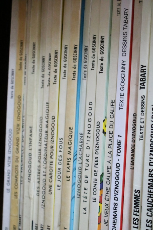 IMG_1095.JPG (258.77 Kio) Vu 105 fois IMG_1095.JPG