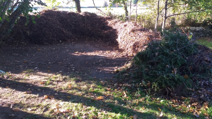 feuilles compost F.jpg