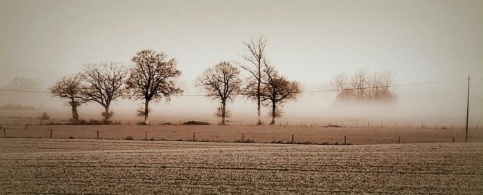 brouillard.jpg
