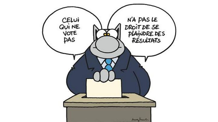 chat compte....jpg