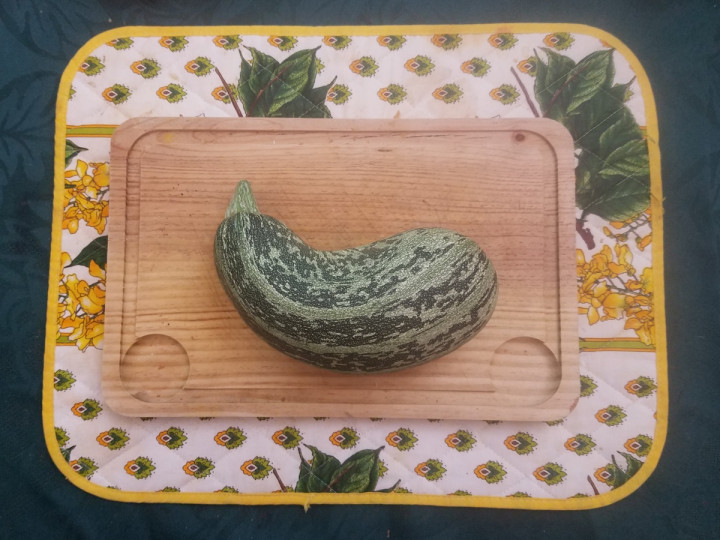 _courgette2019.jpg