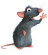 Avatar de l’utilisateur